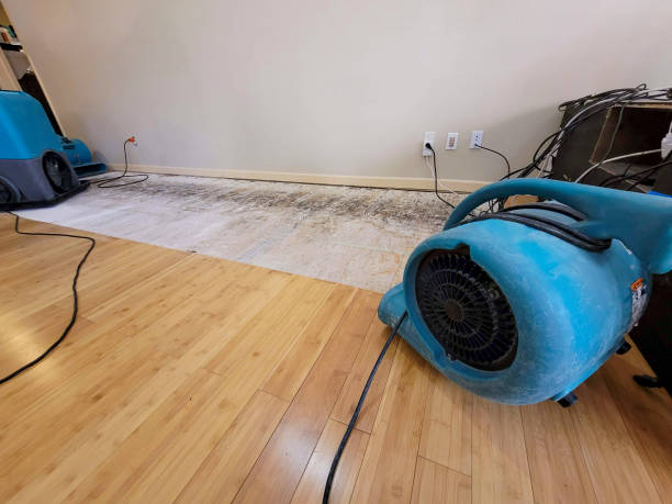 Professional Water Damage Repair technician working in Coachella, CA